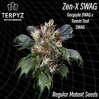 Zen-X Swag Regular Seeds