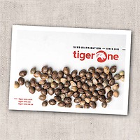 Tiger One Catalogue