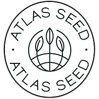 GMO Fast Feminized Seeds