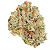 Socrates Sour Feminised Seeds - 5