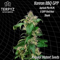 Korean BBQ GPP Regular Seeds