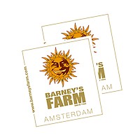 Barney's Farm Logo Stickers - 100 units