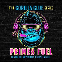 Prime8 Fuel Feminised Seeds