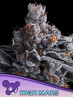 High Mars Feminised Seeds