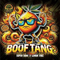 Boof Tang Feminized Seeds