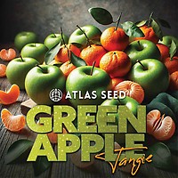 Green Apple Tangie Feminized Seeds