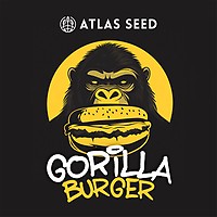 Gorilla Burger Feminized Seeds