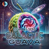 Galactic Guava Fast Feminized Seeds