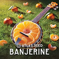 Banjerine Auto Feminized Seeds