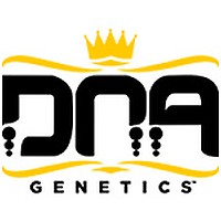 DNA Genetics Sticker - Palm - Large - 10 Units