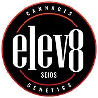 Elev8 Seed Grinder - 1 Unit