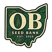 Ohio's Best Seedbank - Cherry Jiu-Splitsu Feminized Seeds - 2