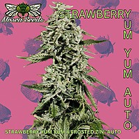 Strawberry Yum Yum Auto Feminized Seeds