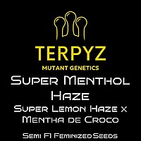 Super Menthol Haze Feminized Seeds
