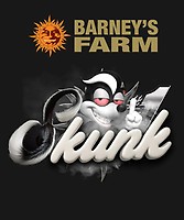 Skunk #1 Feminized Seeds