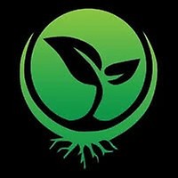 FREE - Seeds Here Now - Photoperiod Feminized Seed - 1