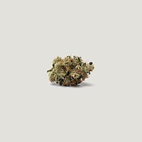 Spidey Sauce Feminized Seeds