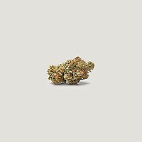 NorCal Sour Z Feminized Seeds