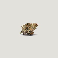 Lemon Cherry Tarts Feminized Seeds