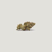 Key Lime Tart Feminized Seeds