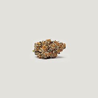 Gushi Feminized Seeds