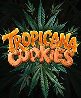 Tropicana Cookies F1 Auto Feminized Seeds