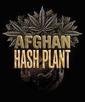 Afghan Hashplant Auto Feminized Seeds