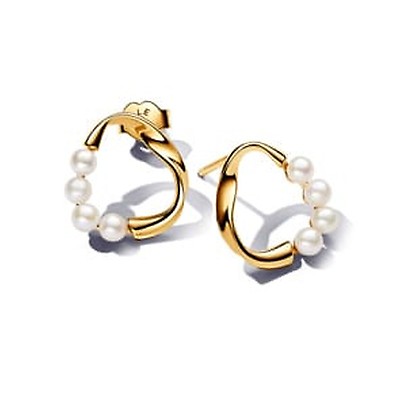 293276C01 | Pandora Essence Organically Shaped Circle