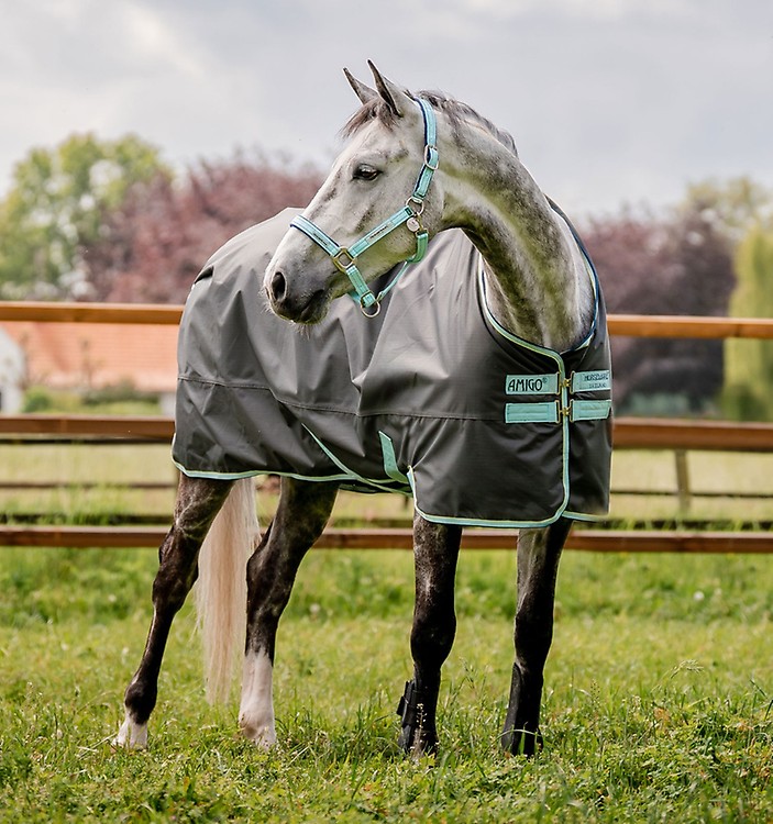 Couverture pluie cheval Hero 900D Lite 0g Amigo Horseware - Couverture  imperméable cheval - Le Paturon