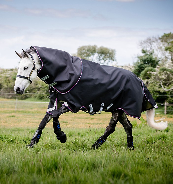 Horseware Riding Tights – bitsnbridles