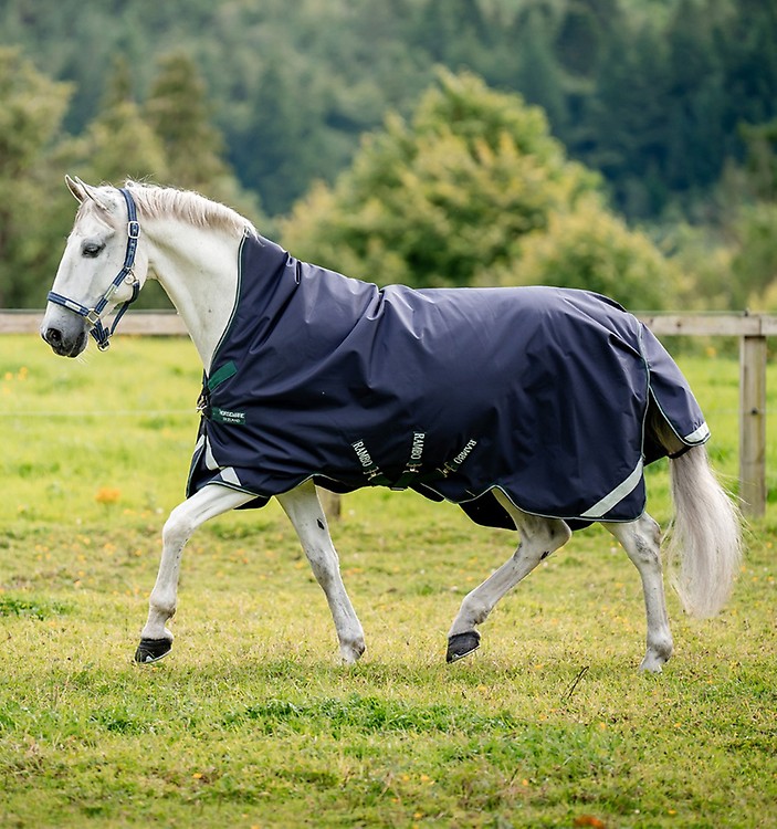 Purchase Patriotic HW Riding Tights Online - Horseware Ireland ®