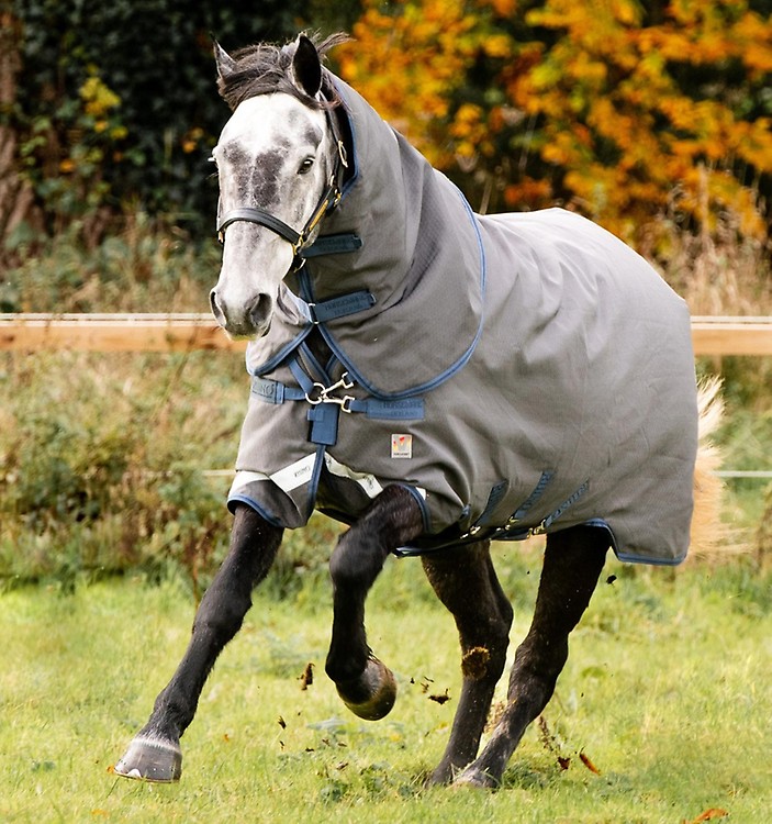 HW AVEEN TECH TOP - Equine Essentials Tack & Laundry Services