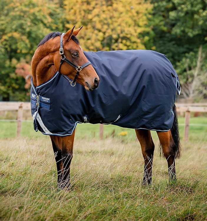 Horseware HERO 900 TURNOUT - Coperta impermeabile capri/gunmetal/bluebell -  Private Sport Shop