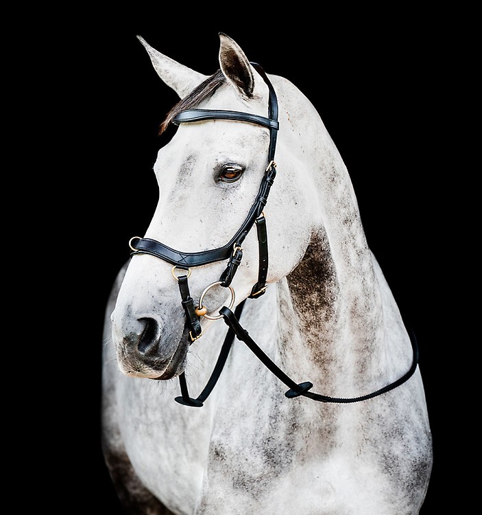 Rênes compétition Rambo Micklem havane Horseware | OHLALA ランボーMicklem Competition Reins
