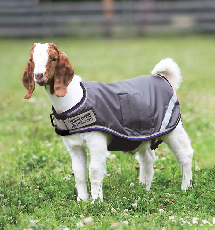 Couverture imperméable pour chien - Horseware Amigo Dog Rug Ripstop