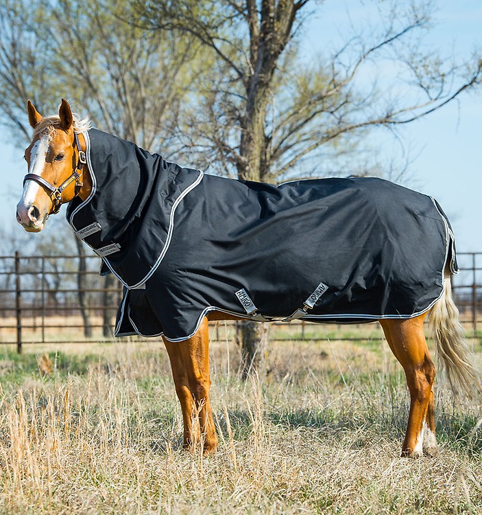 Horseware Amigo Bravo 12 Wug Horseware Amigo Hero 600d Plus Ripstop Turnout Lite 0g | Fig/Navy HW Druck | 5'6-7'0 Amigo Horseware