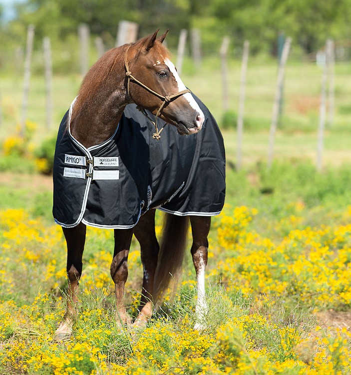 Horseware Amigo Bravo 12 Wug Horseware Amigo Hero 600d Plus Ripstop Turnout Lite 0g | Fig/Navy HW Druck | 5'6-7'0 Amigo Horseware