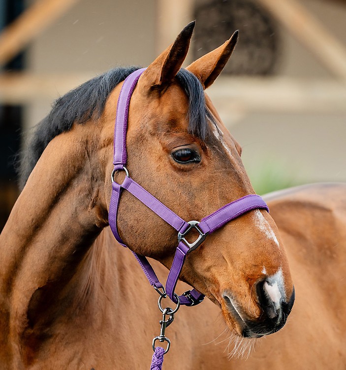 Horseware Amigo Ripstop 900D Capa De Exterior 0g