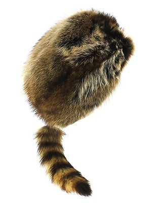 chapeau queue de castor